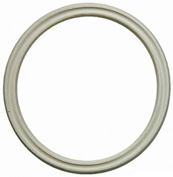 Thermostat Seal