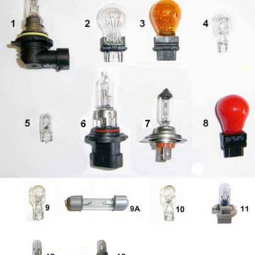 Bulbs & Globes